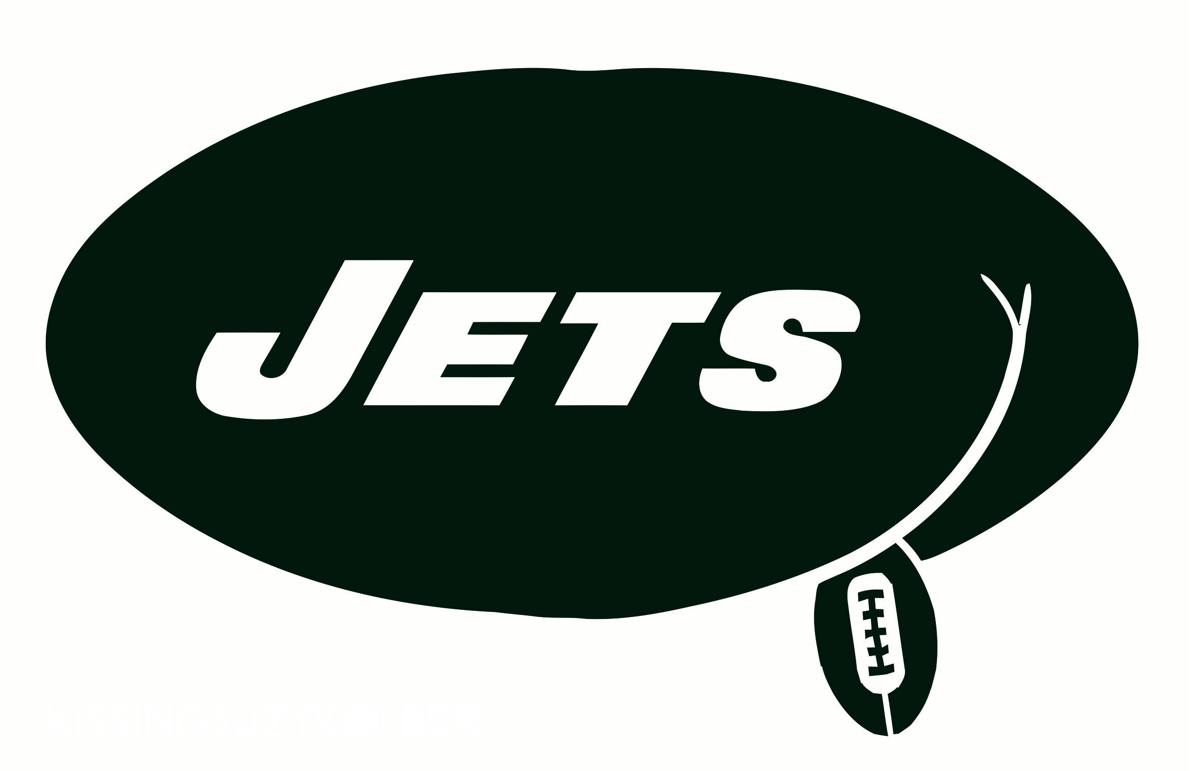 New York Jets Butts Logo fabric transfer